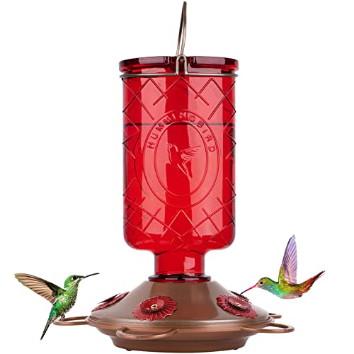 BOLITE 18005 Hummingbird Feeder, Glass Hummingbird Feeders for Outdoors, 5 Feeding Stations, 22 Ounces, Red Bottle