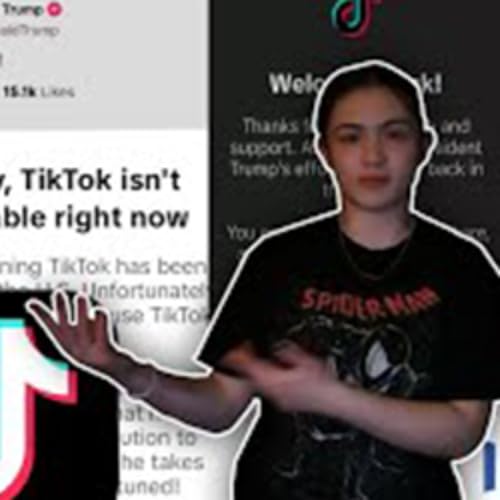 『The TikTok Algorithm - before and after the ban』のカバーアート