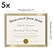Americanflat 8.5x11 Diploma Frame with Polished Plexiglass - Set of 5 - Legacy Collection - Certificate Frame for Tabletop and Wall Display - Gold