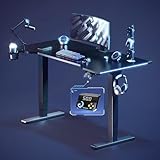 FLEXISPOT CyberX RGB LED Electric Gaming Standing Desk, 55 Inch Dual Motor 3-Stage Adjustable Desk up to 352 lbs, Large Ergonomic Computer Workstation for Gamers, Streamers & Home Studios (Black)