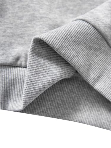 Image of Akyzic Toddler Boys Sweatshirts Cotton Crewneck Truck Shirt Dinosaur Long Sleeve Pullover Tops Tees 2-8T