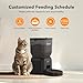 Futterautomat Katze, Olfjurk 4L Katzenfutter Automat Cat Feeder- Automatischer Futterspender,1-6 Mahlzeiten für Katzen und kleine mittelgroße Hunde | Duale Stromversorgung,Abnehmbar Waschbar,Schwarz