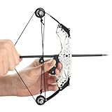 Compound Bow Archery Set Professional Competition Professional Training Outdoor Adventure Black Hexagonal Large Style