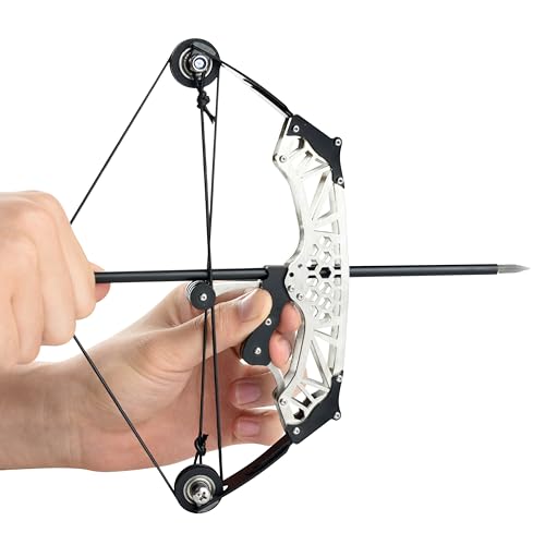 Compound Bow Archery Set for Competition and Training Black