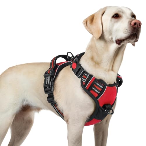 rabbitgoo Dog Harness for Large, No Pull Easy On & Off with 3 Buckles Pet Harness, Adjustable Soft...