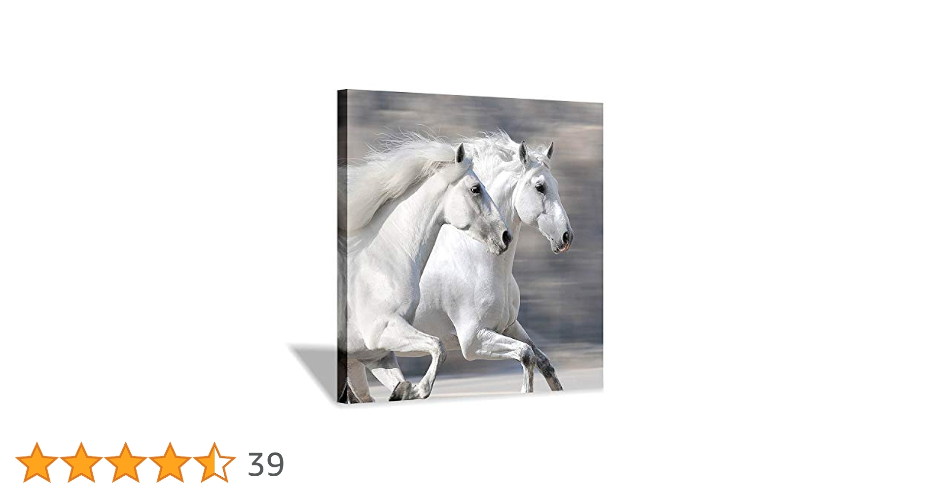 No.240フレーム付きキャンバスアート オシャレ絵画 馬の絵画