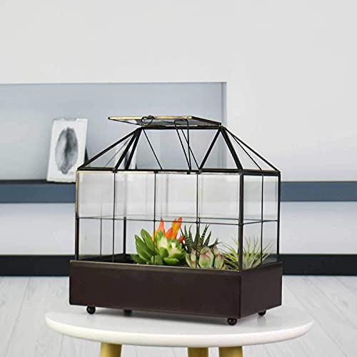 Large Tall Plant Terrarium Glass – Glass Greenhouse Terrarium With Lid And Tray,Indoor Tabletop Orchid Succulent Cacti Terrarium Kit 9.5”X9.8”X5.6” #TOP3