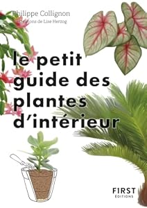 Le Petit Guide jardin des plantes d'intérieur