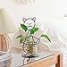 Marbrasse Desktop Glass Planter Vase Holder, Modern Creative Cat Plant Terrarium Metal Stand for Hydroponics Plants Home Garden Wedding Decoration Outdoor Planter Ideas (Style 2)