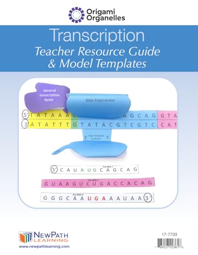 Image of NewPath Transcription 3-D Paper Model Making Kit - Individual Student Edition (24-7733)