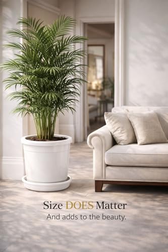 Image of 12 Inch Glossy White Plastic Planter with Bottom Plate | Heavy Duty Flower Pot with Tray for Indoor Home Decor, Balcony, Living Room & Outdoor Garden (4 Pot, White)