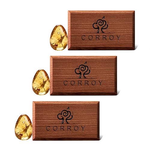 Image of Car Air Freshener Natural Essential Oil Scent, Odor Eliminator and Purifier, Sun Visor Clip Air Freshener for Car(Refill - 3 Pack - Pure Amber)