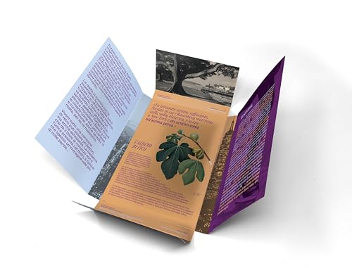 La Campana Di Vetro - 5