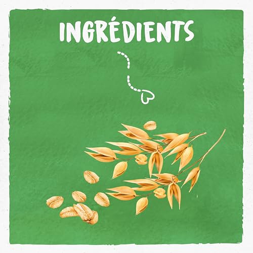 Boisson Végétale Bio Lait D'avoine Sans Sucres Bjorg La Brique De - vue 4