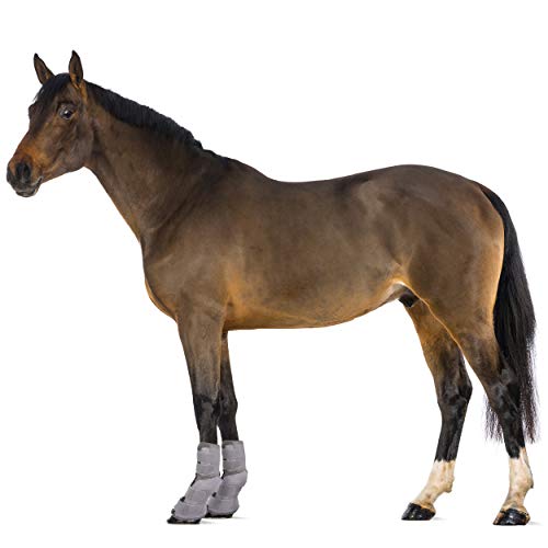 image for Rural365 Horse Leg Guards Set of 2 - XL Adjustable Horse Fly Boot Hors