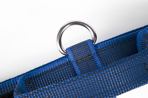 JULIUS K-9 100HA-K-B-2015 Color & Gray K9-Halsband mit Haltegriff, Sicherheitsverschluss und Logo, 40 mm*38-53 cm, verstellbar, blau-grau, 40 mm (38-53 cm)