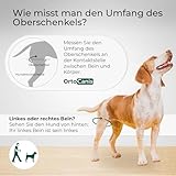 Ortocanis - Kniebandage Hund Hinterbein für das rechte Bein - Hergestellt aus Neopren ARD - Bei Kreuzbandriss, Bänderverletzungen, Patellaluxation oder Osteoarthritis - Größe X-Large (14,2-16')