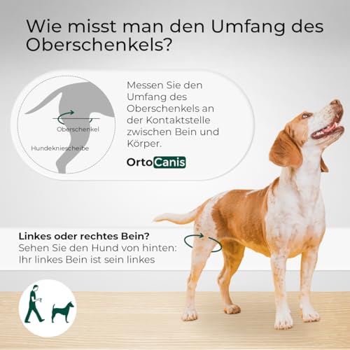 Ortocanis - Kniebandage Hund Hinterbein für das rechte Bein - Hergestellt aus Neopren ARD - Bei Kreuzbandriss, Bänderverletzungen, Patellaluxation oder Osteoarthritis - Größe X-Large (14,2-16')