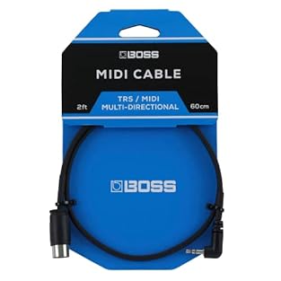 These rugged and reliable cables feature 3.5 mm TRS and 5-pin DIN connectors, allowing you to connect products such as the BOSS 200 series, EV-1-WL, and others to gear equipped with traditional MIDI jacks, from pedals, loop switchers, and multi-effec...