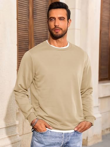 Runcati Mens Crewneck Sweatshirt Casual Long Sleeve Lightweight Fashion Basic Pullover Sweatshirt3