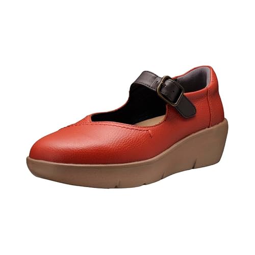 [ALX\{] Xj[J[ EH[LOV[Y fB[X {v ₷ 3E ASH 5900 K/R[q[ 25.0 cm