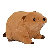 Mignon et chaud : lorsque vous et vos vous sentez fatigués, serrez simplement dans vos bras le oreiller rembourré en nutria. Le toucher doux vous donnera certainement une expérience plus chaleureuse.