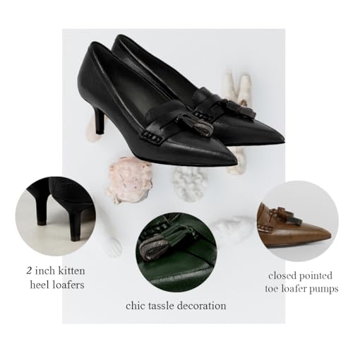 SHODENSE Women Kitten Heel Loafers Tassel Pointed Toe Loafer Pumps Slip On Dress Kitten Heels Penny Loafers Fringe Matte Vintage Office Loafer Heels 2 inch 4-11 M US2