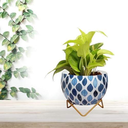 Image of CINAGRO Metal Flower Vase Planter Pot with Iron Stand, Pots for Plants, Plant Pots for Home Decoration, Succulent Pot, Indoor Planter Garden Decor (Size: 6X6 inch) Style: Seaside Serenity