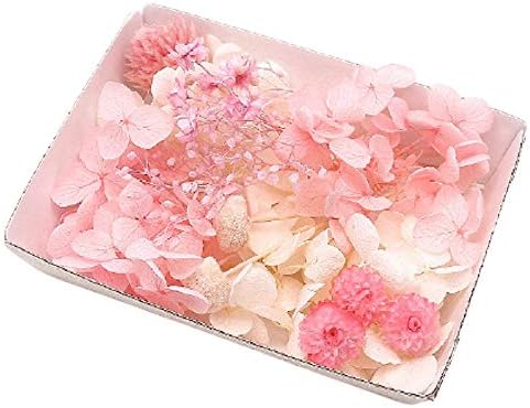 Amazon ハーバリウム花材セット 材料 アロマワックスサシェ プリザーブドフラワー ドライフラワー アジサイ ブライダルピンク プリザーブドフラワー オンライン通販