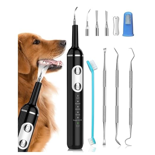 Stim-U-Dent Dog Plaque Remover and Toothbrush