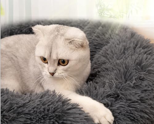 Fhodigogo Katzenbett Hundebett und Katzenkissen Katzenkorb Hundekorb Katzen Bett Katzensofa Cat Bed Katzenschlafplatz Dog Bed für kleine Hunde und Katzen (S/für 3Kg)