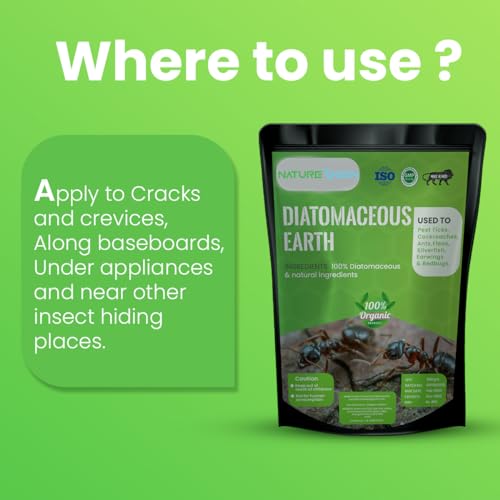 Image of Diatomaceous Earth Powder 200 gm | 100% Organic and Natural | Safe and Organic Pest Control for Your Garden and Home