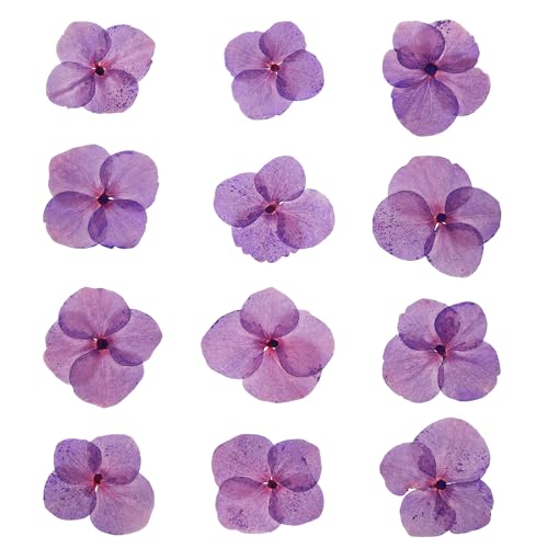 Flores Secas Prensadas 48 Pzas para Manualidades miniatura 1