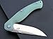 Eafengrow EF953 Pocket Folding Knife G10 Handle D2 Blade,EDC Tool Knife for Outdoor Camping Hiking (Jade)