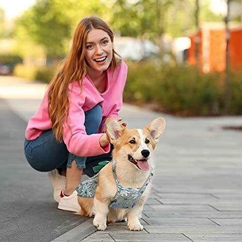 4 Pieces Dog Bowknot Floral Dress Pet Princess Dress Dog Sundress Dog Princess Dress Puppy Summer Dress For Small Pets Dogs Puppy Cats(X-Large) #TOP5