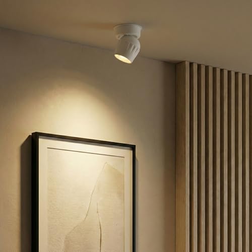 Image of LED Indoor Ceiling Spotlight, Hardwired Directional Dimmable Fixture | 12W Modern Spot Light Indoor, 350 Rotation, Surface Mount Accent Light for Picture Painting Living Room Bedroom, CRI97 White