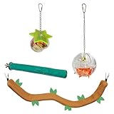 Cage Enhancement Set - Interactive Climbing Foraging Natural Branch Perch Cage Accessory Toy Bundle - for Sugar Gliders, Rats, Ferrets, Hamsters, Squirrels, Parrots, Birds, Marmosets, Degus, Monkeys