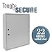 BankSupplies STEELMASTER 200 Key Cabinet - Dual Lock Control Key Box - Welded 22 Gauge Steel Construction - Scratch Resistant - Write-On Key Tags for Easy Identification