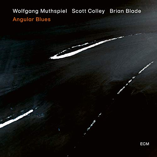 Wolfgang Muthspiel, Scott Colley & Brian Blade