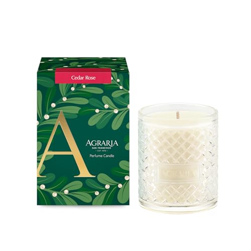Cedar Rose Holiday Scented Candle, 7oz