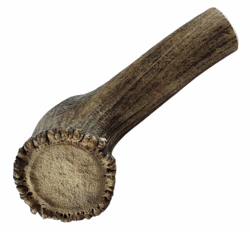 ARTISAN GIFT CO Hundesnack Rothirsch Geweih Kausnack -100% Natürlicher - Mindestgewicht 225 Gramm (XL - 1 stück)