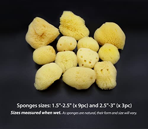 Natural Sea Silk Sponges 12Pk: Size 1.5"-3" Like Cotton Balls, For Cosmetic Use, Makeup Application & Removal, Face & Eye Cleaning, With Luxury Gift Bag By Constantia Beauty® #TOP1
