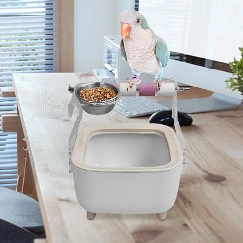 Perroquet de bureau : restez concentré avec le support de dressage pour oiseaux