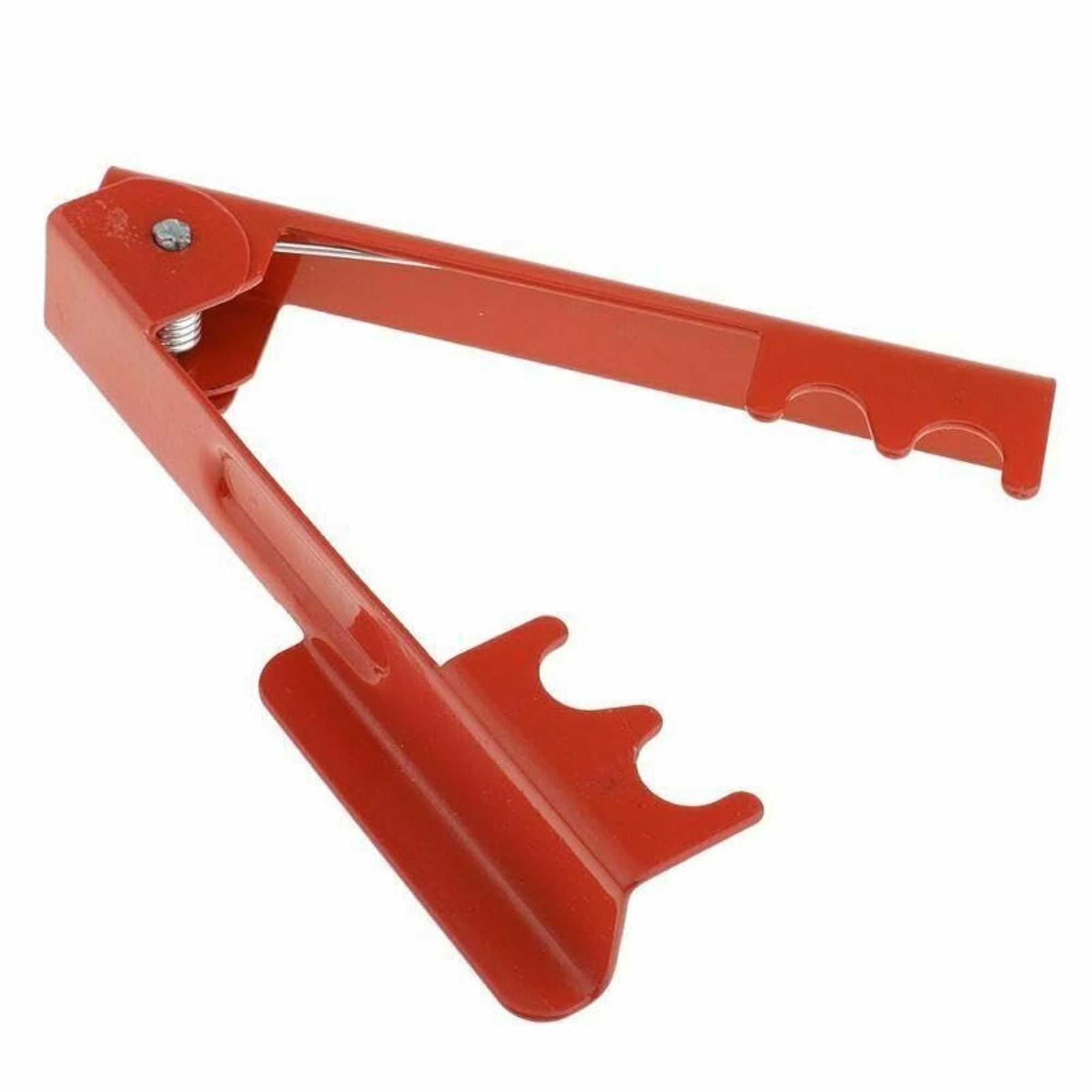 Professional Thorn and Leaf Stripper Tool