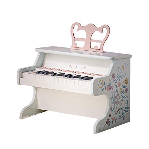 yankai Klaviertastatur, Kleines Klavier Für Kinder, E-Piano 25 Schwarz-Weiß-Tasten, 6 Töne, 6 Rhythmen, Spielzeugklavier Cover