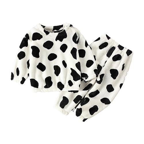 [Cousannory] pW} [EFA Opc ZbgAbv iCgEFA q [EFA LbY LbY pW} q  OJ [EFA xr[ Y{ ㉺Zbg Ԃ   ZbgAbv H~  