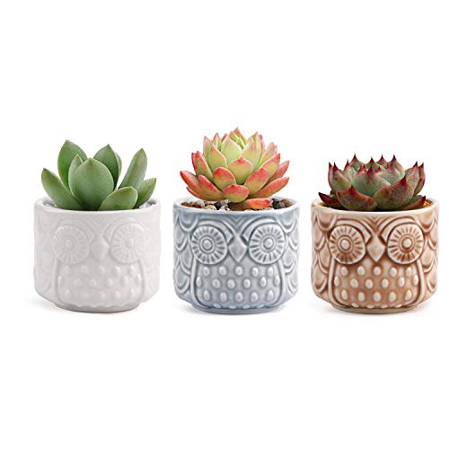 T4U Ceramic Succulent Planter Pot, Small Cactus Plant Pot Round Container Window Box Home Office Decoration Desktop Windowsill Bonsai Pots Gift Ornament for Gardener Wedding Christmas (No.01)