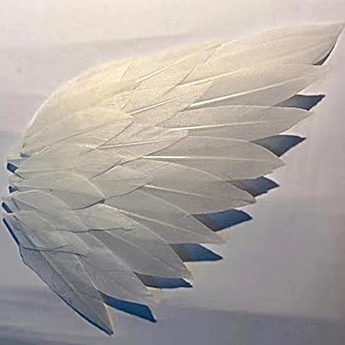 Plumas rojas oscuras para manualidades bricolaje Navidad y máscaras de colores surtidos 7