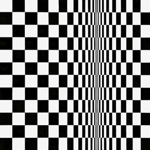 Bridget Riley | Movement in Squares