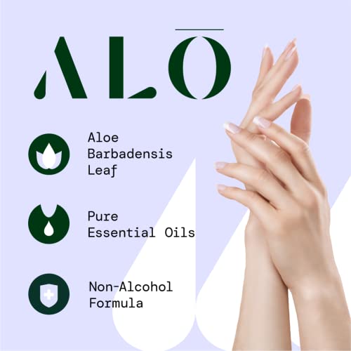 ALŌ Skin- Softening Sanitizing Hand Wipes- Peppermint Eucalyptus + Aloe, (20 Individual Wrapped Wipes, 1 box)